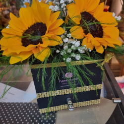 Box girasoles