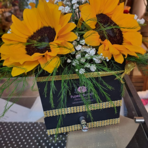 box expecial girasoles