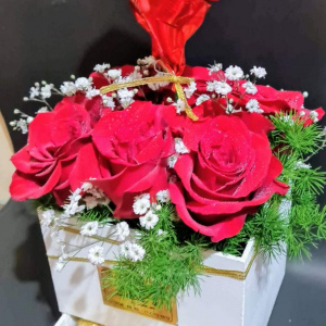 Box especial x 6