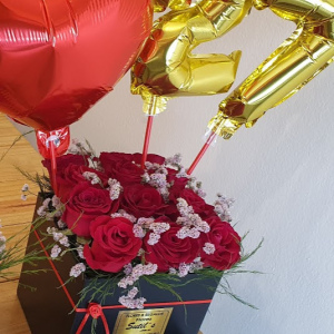 Box especial 12