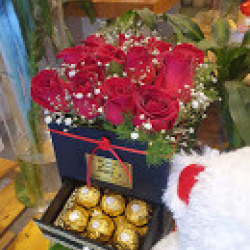 Box especial 12