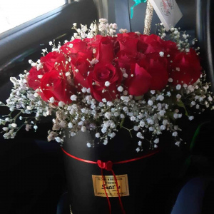Box XL rosas 24