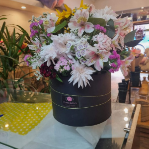 Superbox silvestre