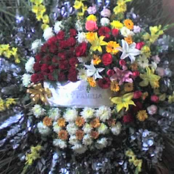 Corona 4