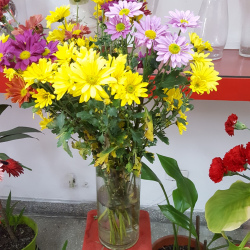 Florero margaritas