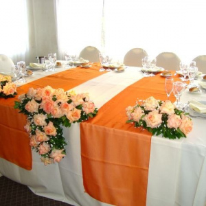 Centros 3